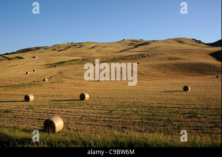 Italie, Basilicate, campagne, vallée de Sauro, champs de blé récoltés en été Banque D'Images