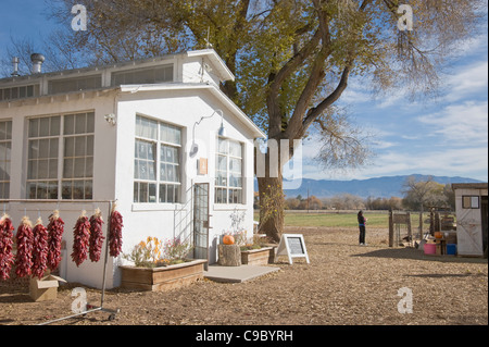 Los Poblanos Inn Ranch ferme biologique, et fleurs de vallée ferme, à Los Ranchos, près de Albuquerque, Nouveau Mexique. Banque D'Images