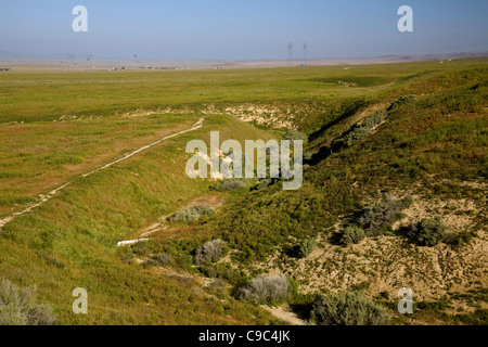 Wallace Creek montrant un 420 pieds de décalage provoqué par le mouvement sur la faille de San Andreas dans la région de Carrizo Plain National Monument. Banque D'Images