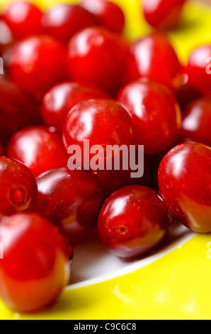 Cherry en cornaline (cornus mas) Banque D'Images