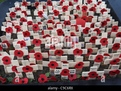 Un mémorial pour les victimes de guerre, de coquelicots et de petites croix de bois, Eldon Square, Newcastle, Angleterre du Nord-Est, Royaume-Uni Banque D'Images