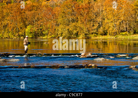 Un homme la pêche sur la rivière Shenandoah en automne. Banque D'Images