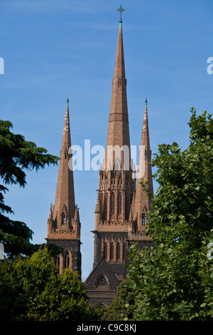 Saint / la Cathédrale St Patrick de Melbourne Australie - l'Archidiocèse de Melbourne Banque D'Images