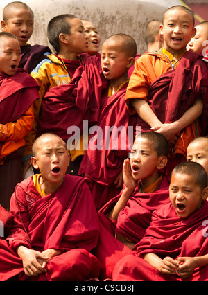 L'Inde, l'Asie du Sud, le Sikkim, des moines bouddhistes dans un Losar chantant dans un monastère. Banque D'Images