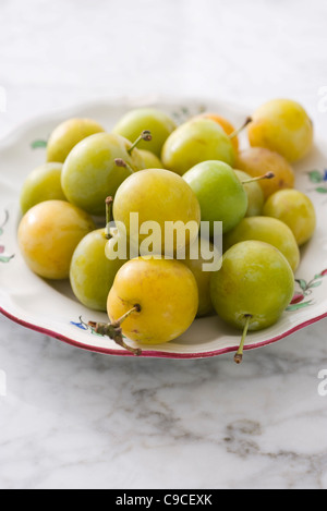 Prunes fraîches greengage Banque D'Images