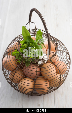 Panier rempli d'œufs frais et d'herbes Banque D'Images
