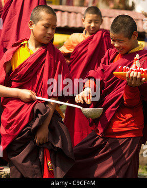 L'Inde, l'Asie du Sud, le Sikkim, des moines bouddhistes dans un Losar cérémonie. Banque D'Images