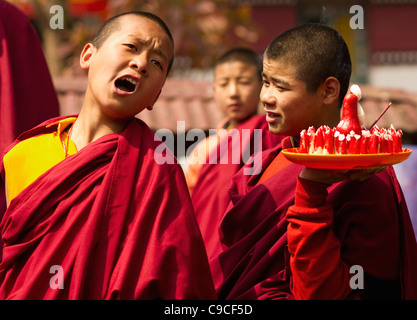 L'Inde, l'Asie du Sud, le Sikkim, des moines bouddhistes dans un Losar cérémonie. Banque D'Images
