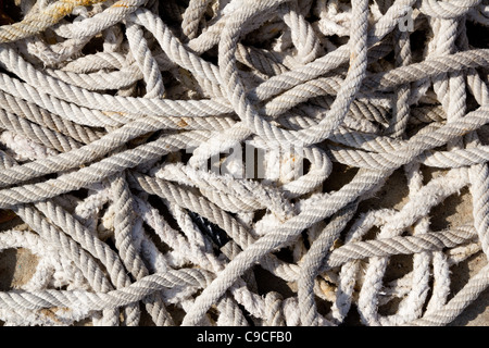 Cordes tressées en désordre de l'équipement de pêche Banque D'Images