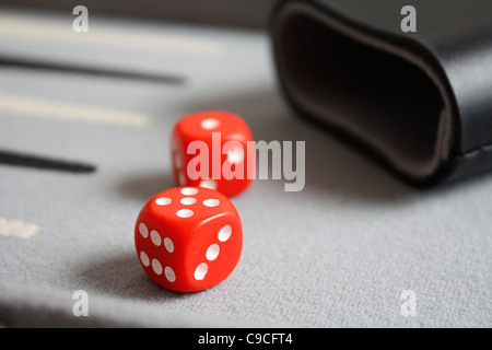 Jacquet Banque D'Images