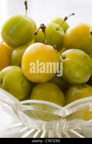 Prunes fraîches greengage Banque D'Images