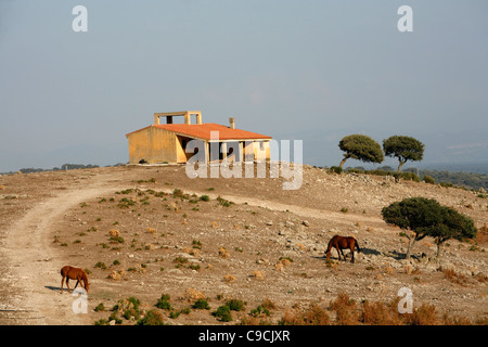 Paysage autour de Monti Ferru, Sardaigne, Italie. Banque D'Images