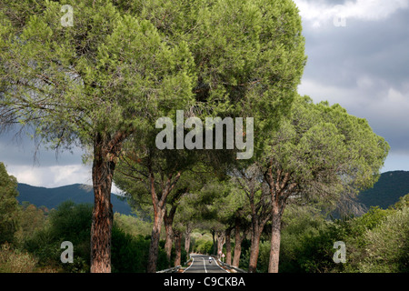 Paysage dans la région Sarrabus, Sardaigne, Italie. Banque D'Images