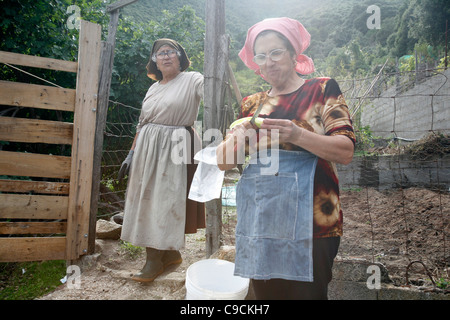 Les femmes avec costume traditionnel travaillant dans un champ près de Talana village dans la région de Gennargentu, Sardaigne, Italie. Banque D'Images