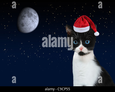 Chaton noir et blanc avec le Père Noël rouge foncé et ciel étoilé avec la lune en arrière-plan. Banque D'Images