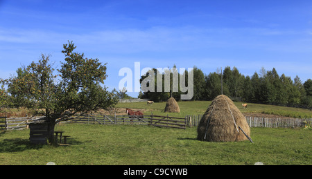 Paysage rustique dans les Monts Apuseni, en Transylvanie, Roumanie. Banque D'Images