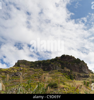 Paysage près de Madère Achadas da Cruz - Madeira, Portugal, Europe Banque D'Images