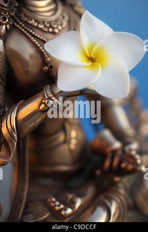 Bouddha Vajrasattva tient le vajra dans la main droite et une cloche dans sa main gauche ; avec fleur de frangipanier plumeria. Banque D'Images