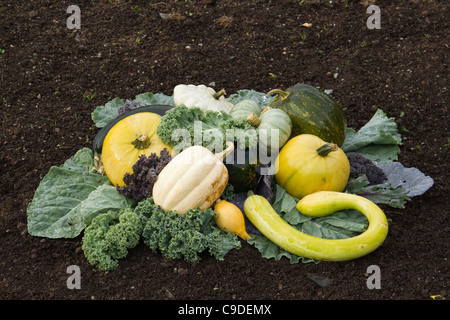 Sélection de légumes d'automne citrouille courge kale chou s'allonger sur lit de feuilles comestibles sur sol brun foncé Banque D'Images