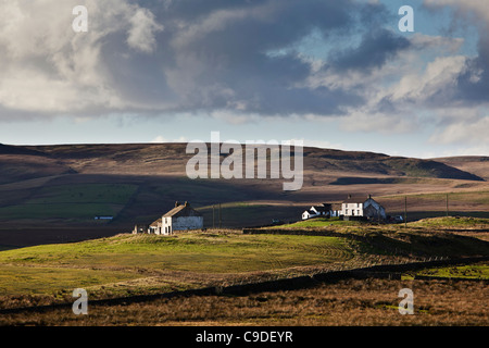 Gîte rural à distance, forêt en Teedale, County Durham Banque D'Images