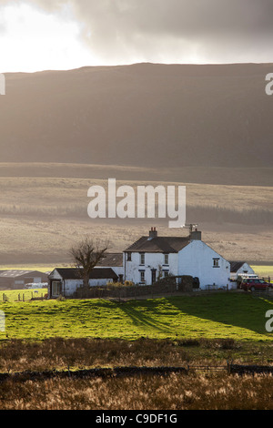 Ferme isolée, forêt en Teedale, County Durham Banque D'Images