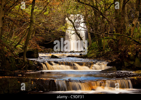 Gibson's Cave et chutes de Summerhill, Bowlees, réserve naturelle de Teesdale, County Durham Banque D'Images