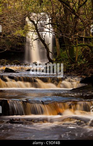 Gibson's Cave et chutes de Summerhill, Bowlees, réserve naturelle de Teesdale, County Durham Banque D'Images