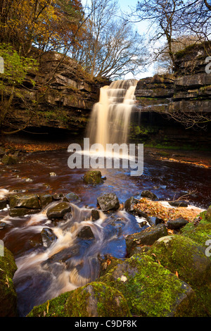 Gibson's Cave et chutes de Summerhill, Bowlees, réserve naturelle de Teesdale, County Durham Banque D'Images