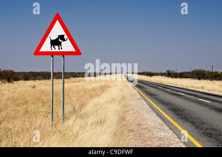 Panneau d'avertissement pour les phacochères sur l'autoroute, la Namibie Banque D'Images