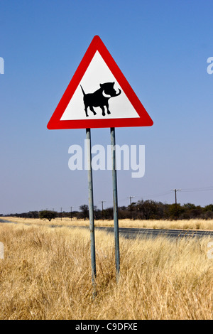 Panneau d'avertissement pour les phacochères sur l'autoroute, la Namibie Banque D'Images