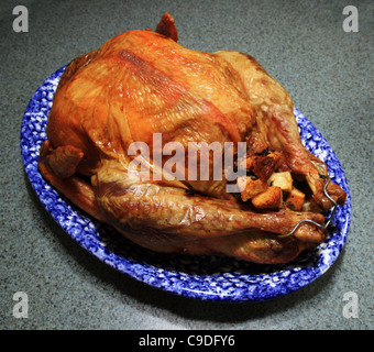 Dinde farcie et cuite sur une assiette blanche et bleue Banque D'Images