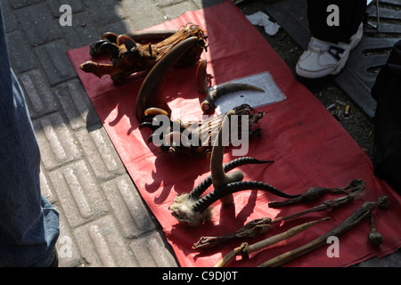 Commerçant de rue illégale la vente de parties d'animaux braconnés (ours et tiger paws pour eg) la médecine traditionnelle chinoise, Shanghai, Chine Banque D'Images