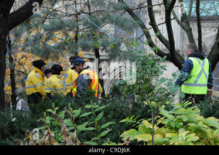 Le 23 novembre 2011, la Police de Toronto en nombres significatifs déployés tôt ce matin, à commencer le processus d'expulsion du camp de tentes de Toronto occupent de St James Park. Ici la police et les ouvriers des villes comb la protestation Emplacement de tente. Banque D'Images