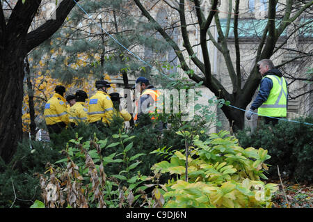 Le 23 novembre 2011, la Police de Toronto en nombres significatifs déployés tôt ce matin, à commencer le processus d'expulsion du camp de tentes de Toronto occupent de St James Park. Ici la police et les ouvriers des villes comb la protestation Emplacement de tente. Banque D'Images