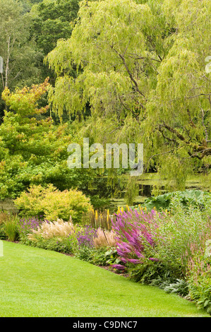 Le lac en été, RHS Rosemoor, Devon, Angleterre, Royaume-Uni Banque D'Images