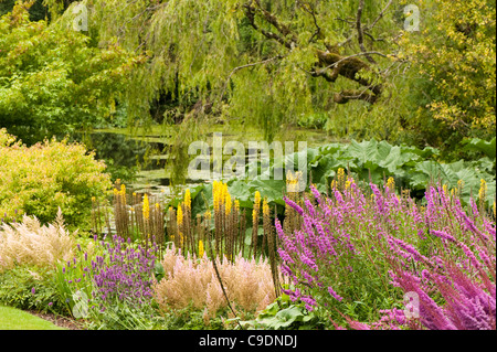 Le lac en été, RHS Rosemoor, Devon, Angleterre, Royaume-Uni Banque D'Images