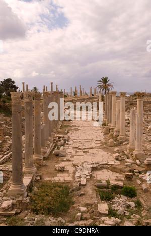 Al Mina, site archéologique de Tyr, au sud Liban. Banque D'Images