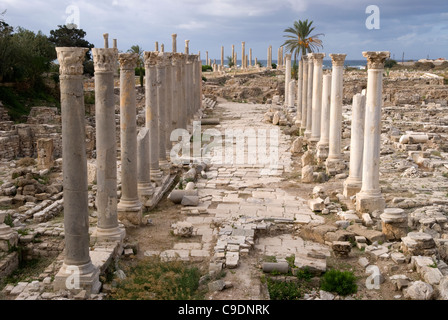 Al Mina, site archéologique de Tyr, au sud Liban. Banque D'Images