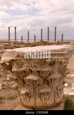 Al-mina site archéologique, Tire, le sud du Liban. Banque D'Images