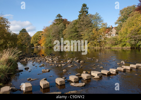 Dans stepping stones River Wear, Stanhope, Weardale, County Durham Banque D'Images