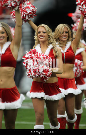 18 déc., 2011 - Houston, Texas, États-Unis - Houston Texans de meneurs de venir sur le terrain pour divertir les fans. Défait les Carolina Panthers 28-13 Houston Texans au Reliant Stadium de Houston au Texas. (Crédit Image : © Luis Leyva/ZUMAPRESS.com)/Southcreek Banque D'Images