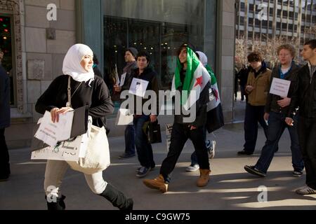 Chicago, USA, 29/12/2011. Depuis mars manifestants Tribune Tower pendant la guerre contre le gouvernement syrien de protestation. Les manifestants se sont rassemblés pour protester contre le gouvernement syrien le traitement de ses citoyens. Banque D'Images