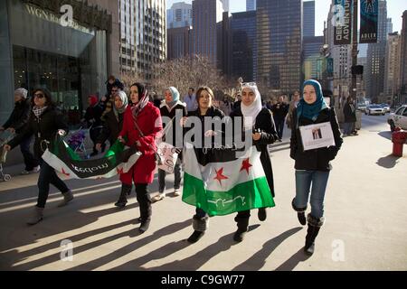 Chicago, USA, 29/12/2011. Depuis mars manifestants Tribune Tower pendant la guerre contre le gouvernement syrien de protestation. Les manifestants se sont rassemblés pour protester contre le gouvernement syrien le traitement de ses citoyens. Banque D'Images