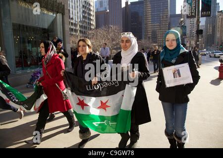 Chicago, USA, 29/12/2011. Depuis mars manifestants Tribune Tower pendant la guerre contre le gouvernement syrien de protestation. Les manifestants se sont rassemblés pour protester contre le gouvernement syrien le traitement de ses citoyens. Banque D'Images