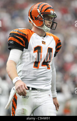 Le 7 janvier, 2012 - Houston, Texas, États-Unis - Cincinnati Bengals quarterback Andy Dalton(14). La défaite des Houston Texans Cincinnati Bengals dans le match 31-10 au Reliant Stadium de Houston au Texas. (Crédit Image : © Luis Leyva/ZUMAPRESS.com)/Southcreek Banque D'Images