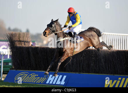 Moleskine monté par Paul Moloney saute la dernière sur leur chemin vers la victoire dans le williamhill.com Handicap Novices' Chase Cl4 3m à Kempton Park Racecourse, Sunbury-on-Thames, Middlesex - 14/01/2012 - CRÉDIT : Martin Dalton/TGSPHOTO/Alamy Live News Banque D'Images