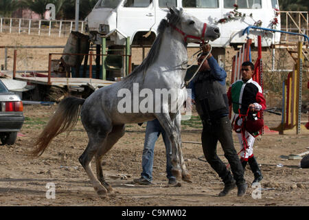 28 janv. 2012 - Jéricho, en Cisjordanie, territoire palestinien - jockeys palestiniens prennent part à une course de chevaux à un club équestre dans la ville cisjordanienne de Jéricho le 27 janvier 2012. Photo par Issam Rimawi (crédit Image : © Issam Rimawi Apaimages ZUMAPRESS.com)/Images/APA Banque D'Images