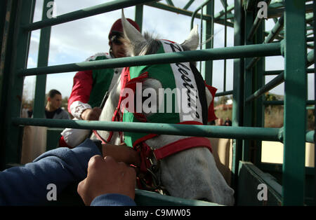 28 janv. 2012 - Jéricho, en Cisjordanie, territoire palestinien - jockeys palestiniens prennent part à une course de chevaux à un club équestre dans la ville cisjordanienne de Jéricho le 27 janvier 2012. Photo par Issam Rimawi (crédit Image : © Issam Rimawi Apaimages ZUMAPRESS.com)/Images/APA Banque D'Images