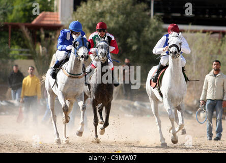 28 janv. 2012 - Jéricho, en Cisjordanie, territoire palestinien - jockeys palestiniens prennent part à une course de chevaux à un club équestre dans la ville cisjordanienne de Jéricho le 27 janvier 2012. Photo par Issam Rimawi (crédit Image : © Issam Rimawi Apaimages ZUMAPRESS.com)/Images/APA Banque D'Images