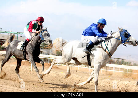 28 janv. 2012 - Jéricho, en Cisjordanie, territoire palestinien - jockeys palestiniens prennent part à une course de chevaux à un club équestre dans la ville cisjordanienne de Jéricho le 27 janvier 2012. Photo par Issam Rimawi (crédit Image : © Issam Rimawi Apaimages ZUMAPRESS.com)/Images/APA Banque D'Images